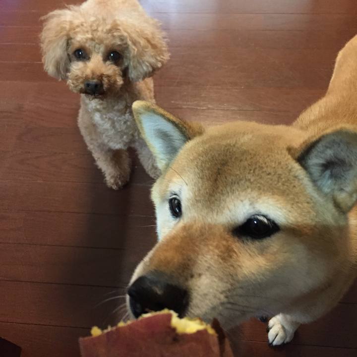 A7f7d552 ff09 4b0d a856 bafc30b46171 1508133510764