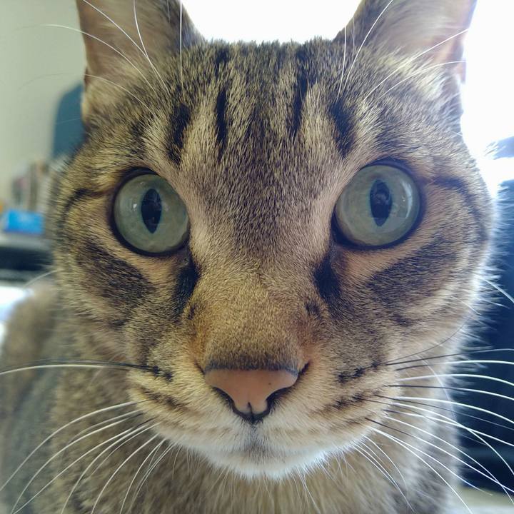 A7f813af daec 49b1 b4ee a627f63adf8a 1702685491901