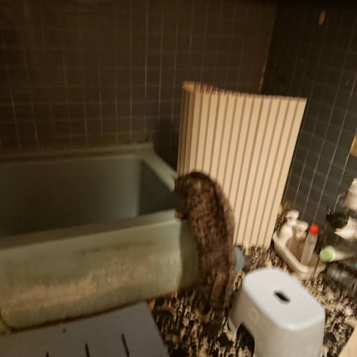 A7f88226 ca62 44a4 b40d 76fbcd7a8407 1574414282859