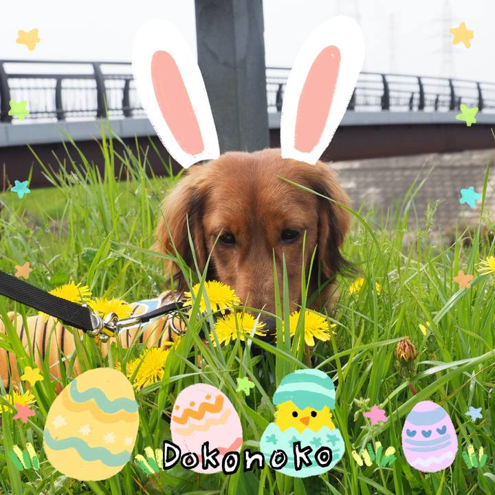 A7f88795 1309 4f09 8ac5 faccac2a538a 1712467932840