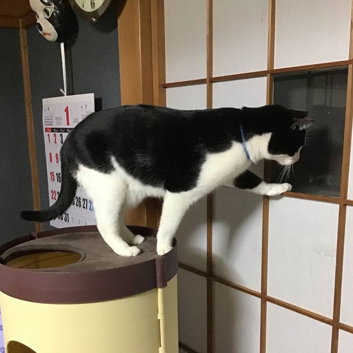 A7f89310 111d 4deb b182 fa554ff3dedf 1674564759951