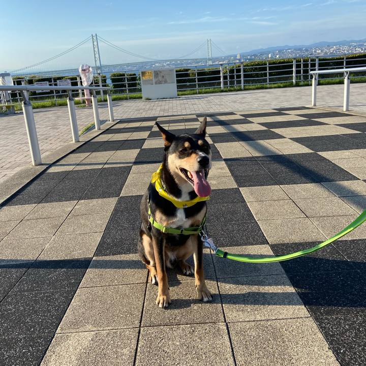 A7f8ac46 4f96 4b31 bf01 449a914d2708 1592642772168