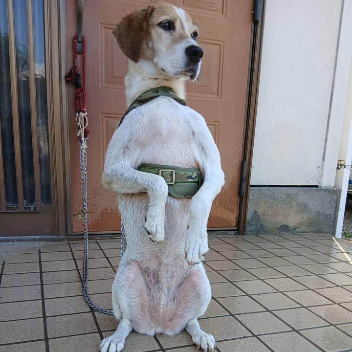 A7f8af6d dc6f 427c 9f87 3b94a165c0e3 1753357842198