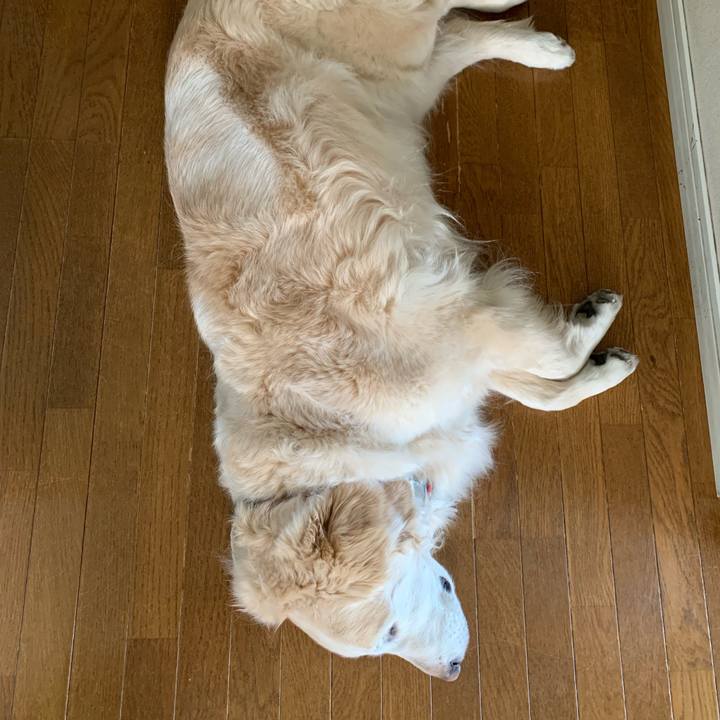 A7f8f273 f97b 4949 89d5 ed9f9ad1ffd0 1681250936368