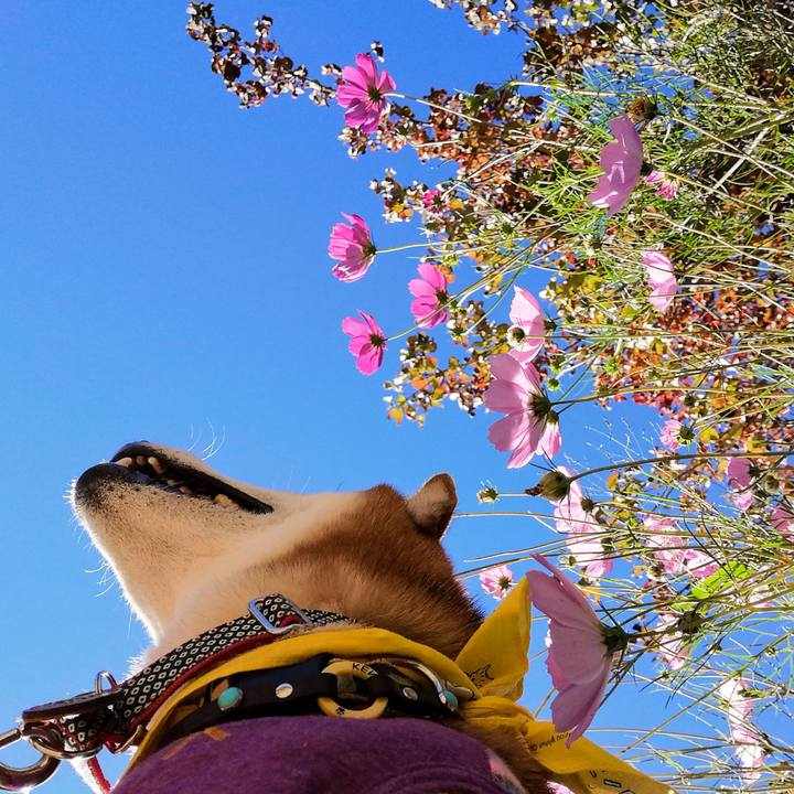 A7f91909 3dc3 432f 8b0d e687151ff5e9 1632060257753