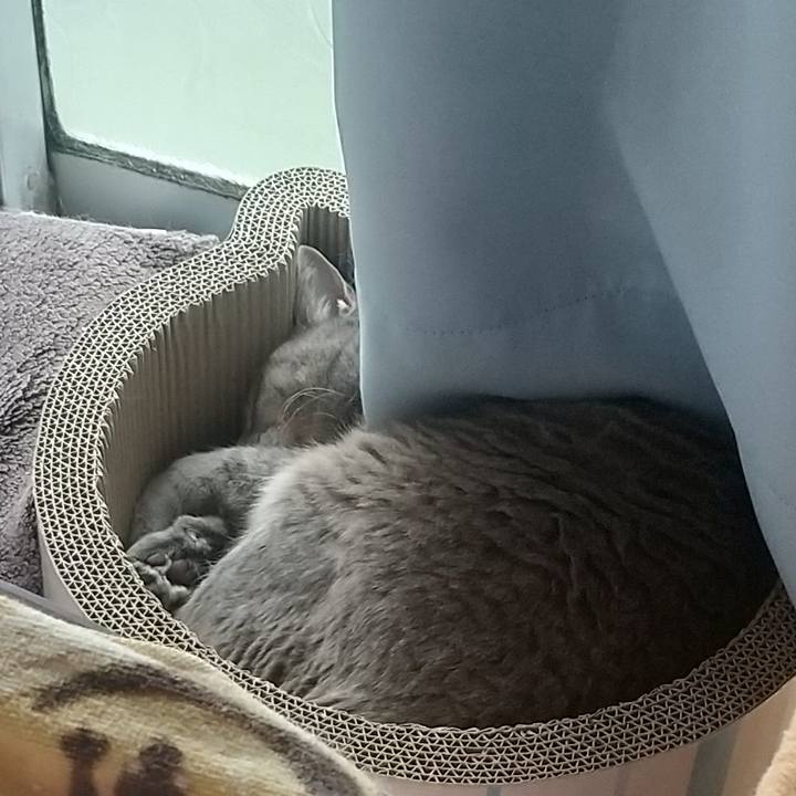 A7f97691 7833 4970 affd cab5fa38a02a 1650941402038