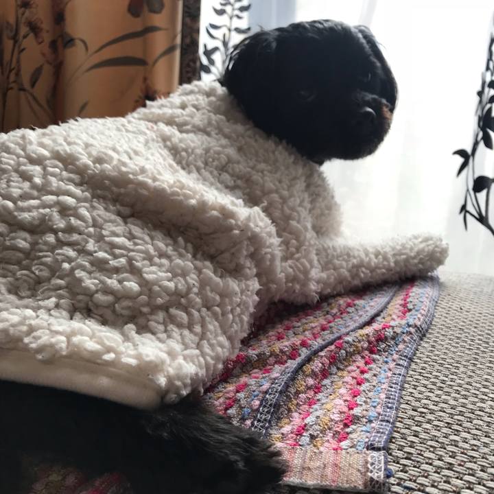 A7f9ceab d79f 4950 aa5b f6faeabce6b9 1542114011819