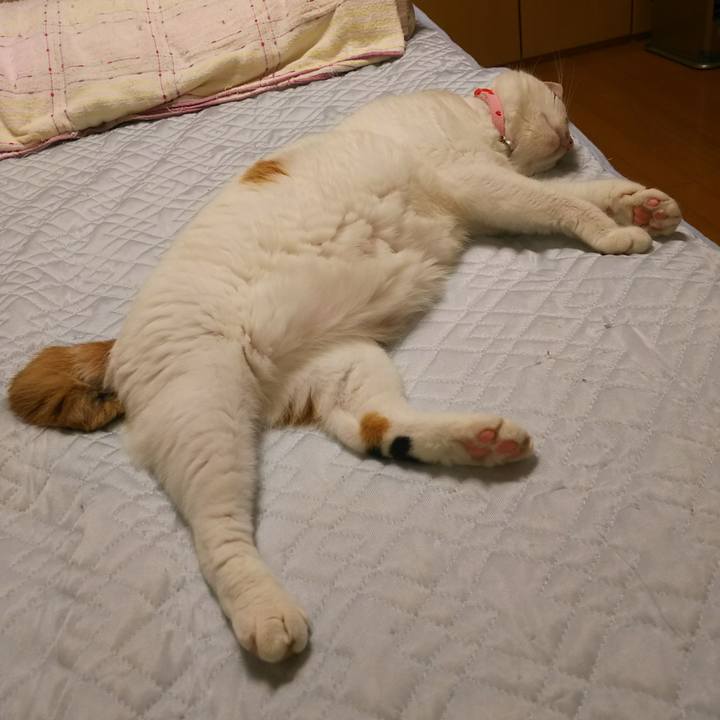 A7fa440b 9801 46bf 998f 6feb4bb58208 1531752503447