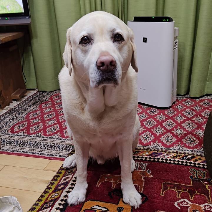 A7fa50e1 fa85 4b82 ab60 cd80b79661f2 1737375520016