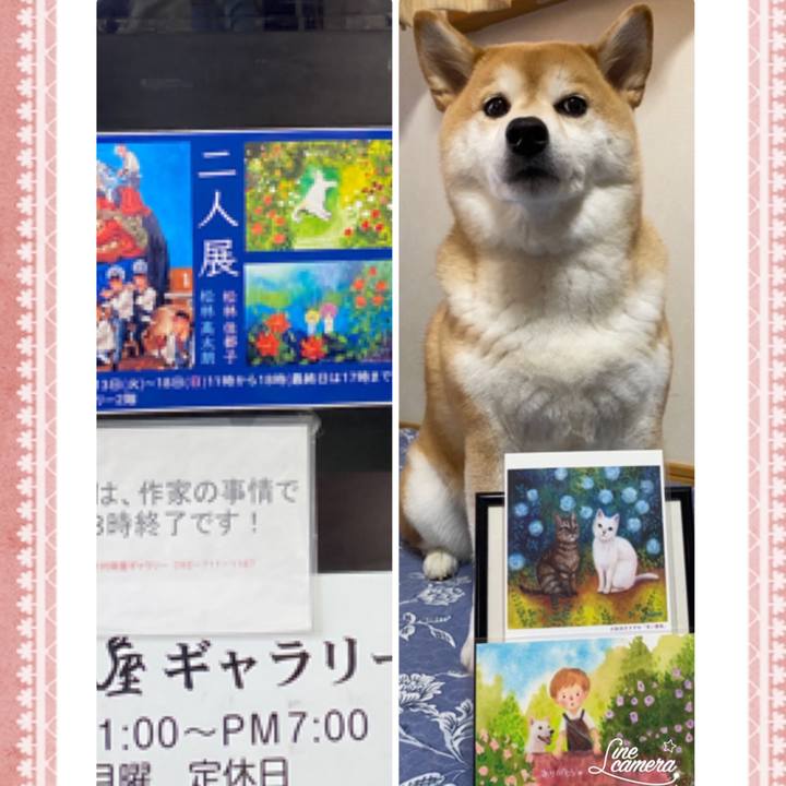 A7fa6357 5396 4212 8bd9 a12dfc2911d6 1602992100999