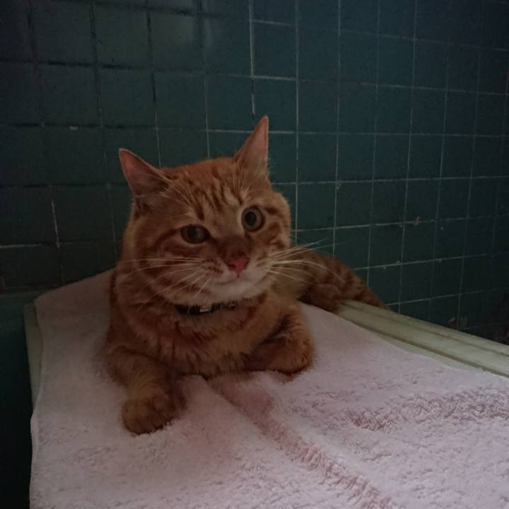 A7fa6d10 be14 4264 9876 78f8a81816b6 1656671256757