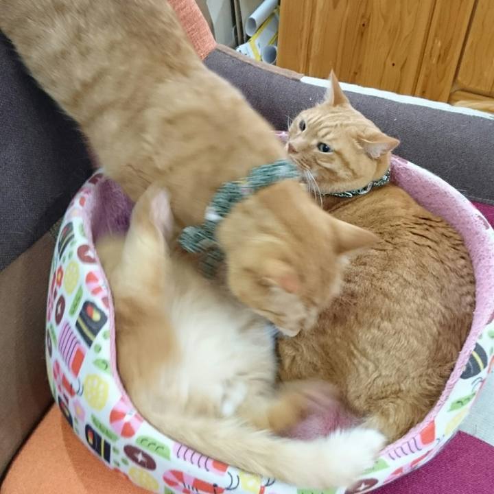 A7fa7168 ab93 4afd a522 64553951a455 1562768891628