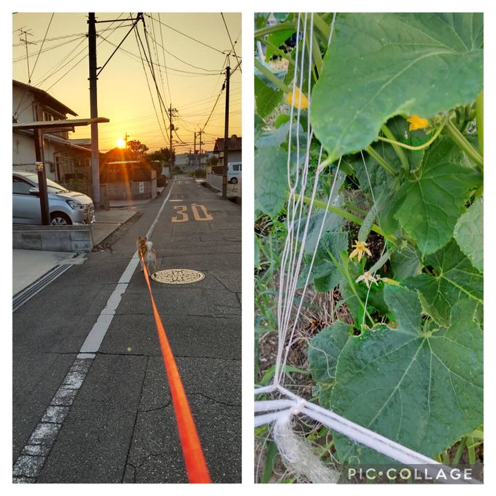 A7fab2c1 e418 4b47 93da e34ee9780aa1 1751058923138