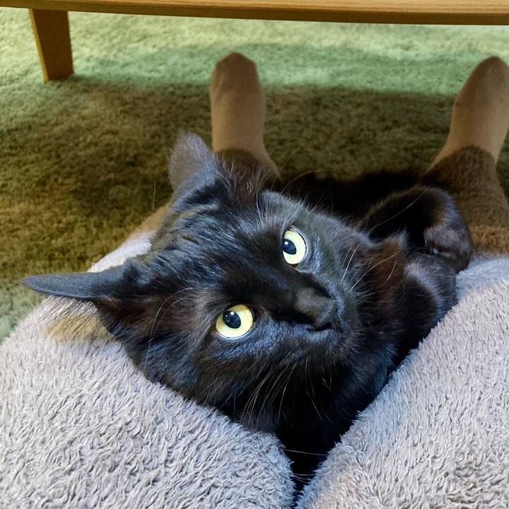 A7fac1b7 9141 4d0e 9d08 abb59877b2df 1737081090603