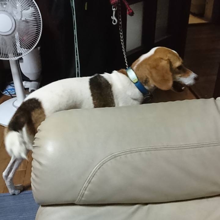 A7fac5a1 41e2 4cb8 95b2 cba898e327a2 1563105153435