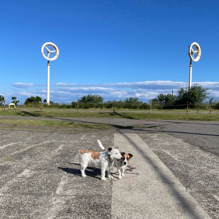 A7facbbd 0bb4 4bc0 9e85 8925490bf064 1653694970232