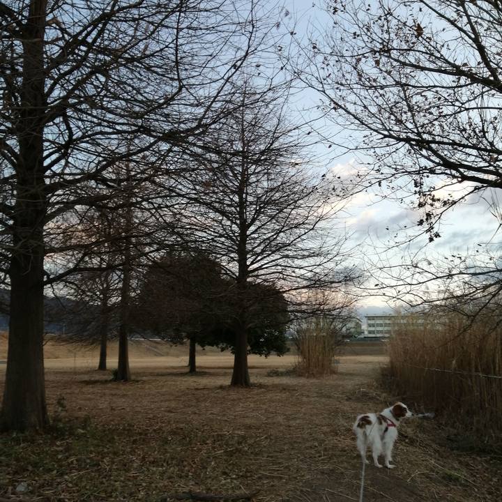 A7fade1f 5ba8 4295 b4aa fcdd5be07874 1610282020078