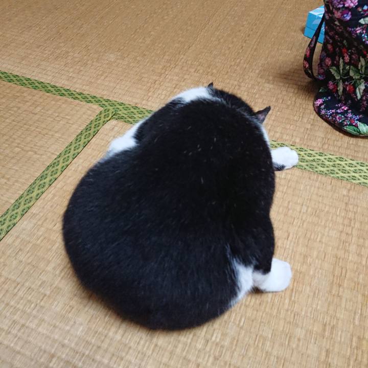 A7fadea8 74ad 4546 8bdc 1161103f4d47 1532745038728