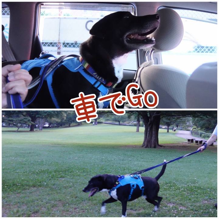 A7faf15e 4711 4381 bf0b f764fd9b5a22 1688985825953