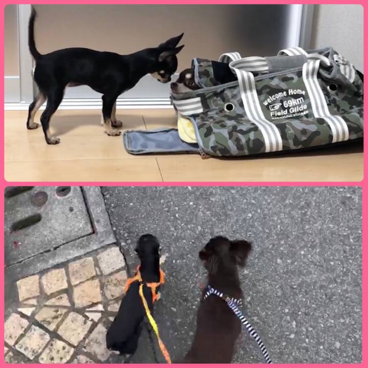 A7fc14f4 e608 40a3 9ff8 142c28bd66e5 1563970610308