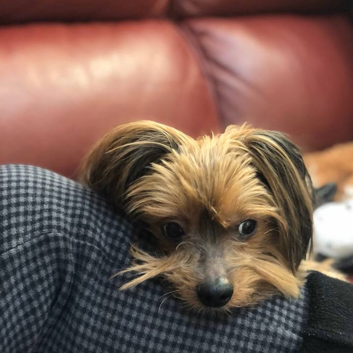 A7fc162c dc9c 478e 9d93 bef451f2aa0d 1581252495413