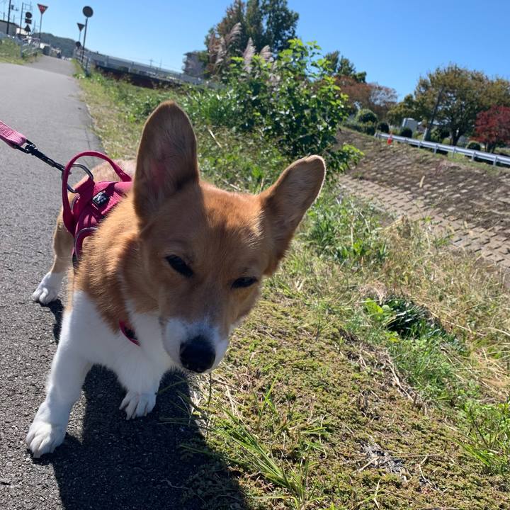 A7fc5619 e4ee 4845 873a 81b7880aa549 1697948543619