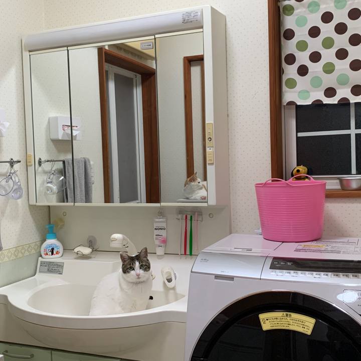 A7fc7c8f a65a 4328 bdc3 981e17e24c50 1655377371124