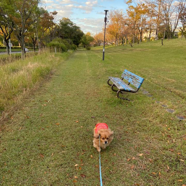 A7fc89c8 a5d0 4780 8c33 c149f00a5300 1635547654491