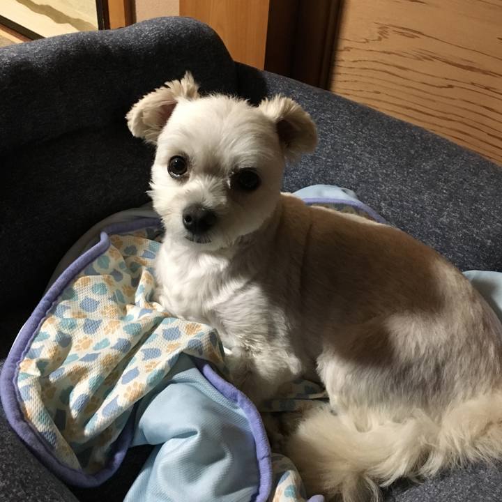 A7fc964b ff4f 4ce9 b09e 9d524c5086a1 1533726398378