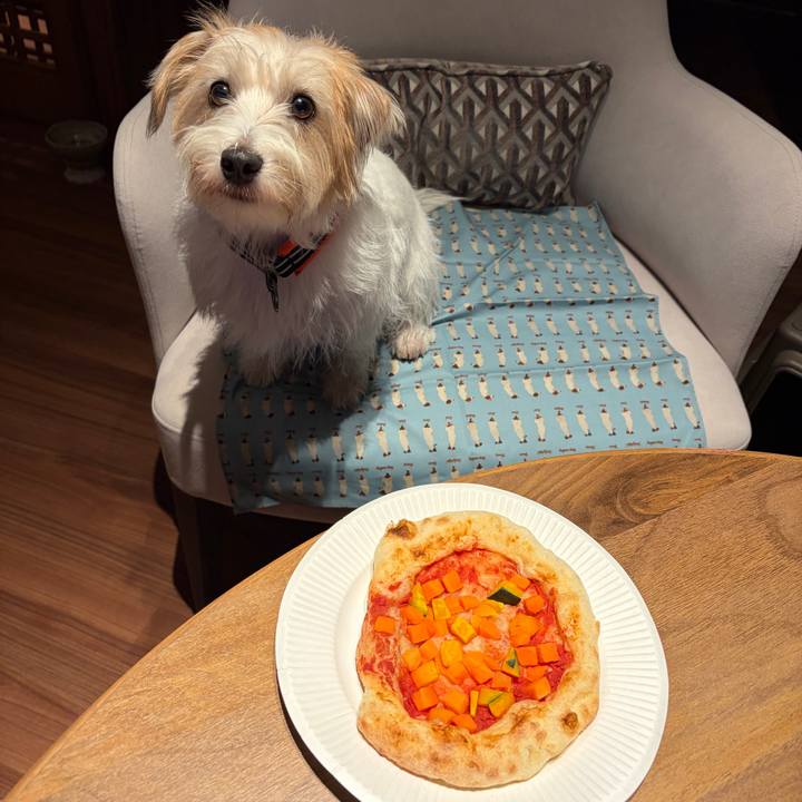 A7fd184a d1cb 4823 a269 47ff8ab2bb16 1762079506570