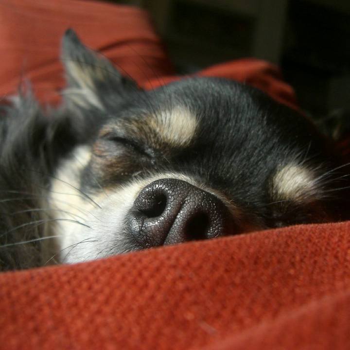 A7fd5c1a 7bb4 40aa 8a40 77e192e4c227 1555922163925