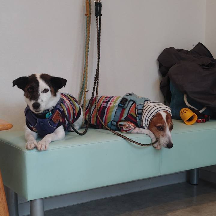 A7fe8352 7861 4bf7 9c71 fdf88534608d 1761486026354