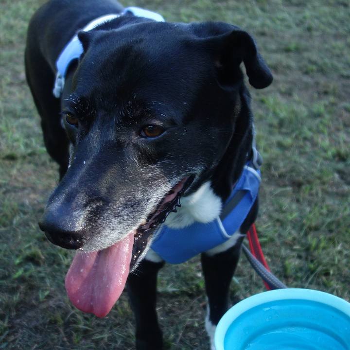 A7fe9e3b b9e2 4b68 be90 87632f701cb8 1692229997997