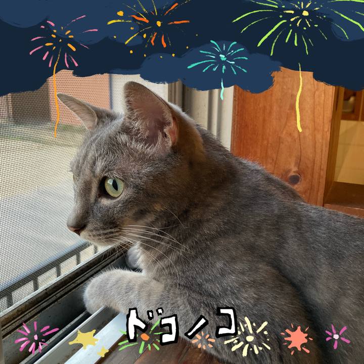 A7fef7e9 93c6 4b9d 829a 69fed696933a 1723196928142