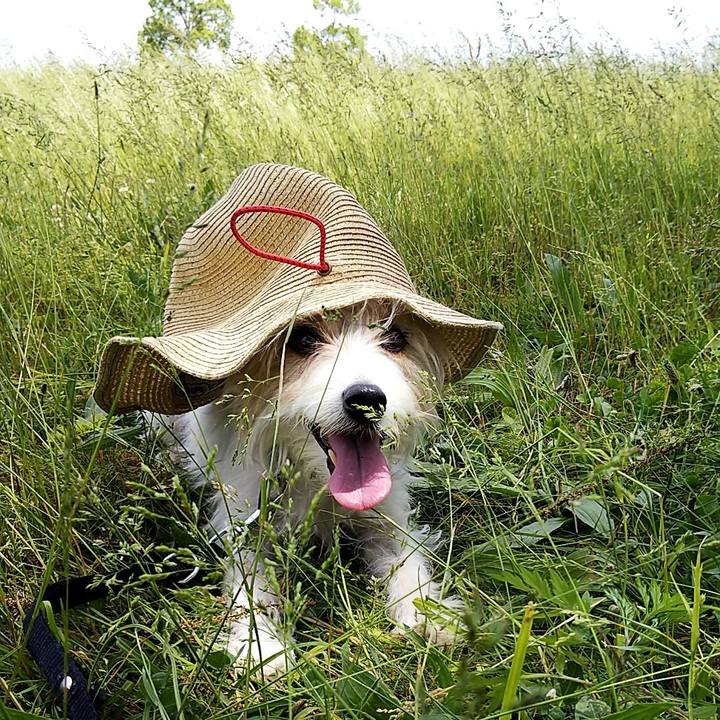 A7ff342e 1bbf 4b76 96f9 25dee7871c89 1558250561631