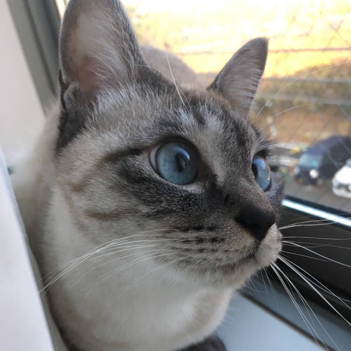 A7ff4b84 b029 46fa a058 ea324b96b78c 1577757954278