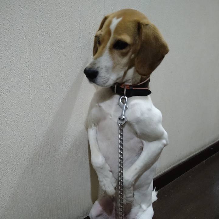 A7ff4e38 faf6 4928 96a4 6b38769404f7 1637750525201