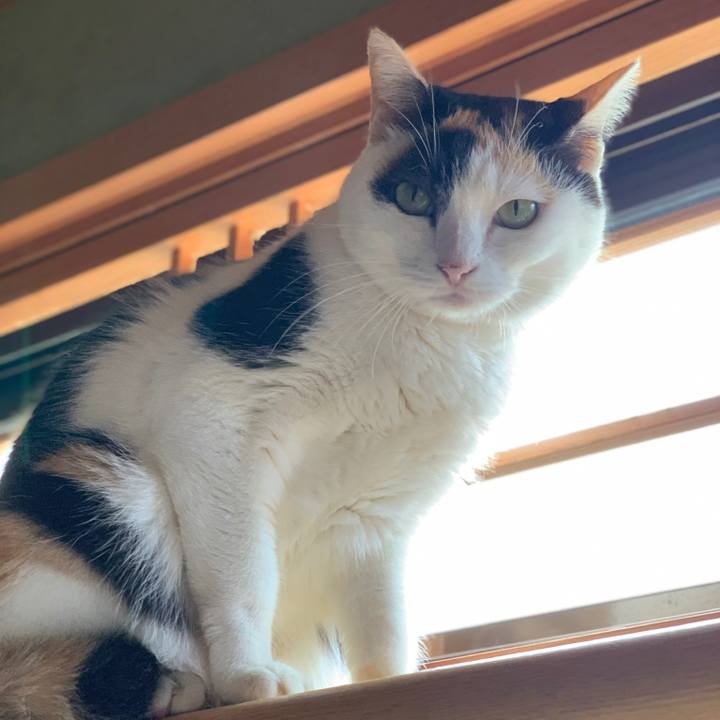 A7ff5619 5bd1 43c4 9139 45bbc9572c57 1603421440507