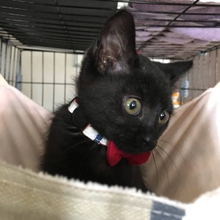 A7ff8910 5677 486b 8995 cab0a9c88574 1660623426797