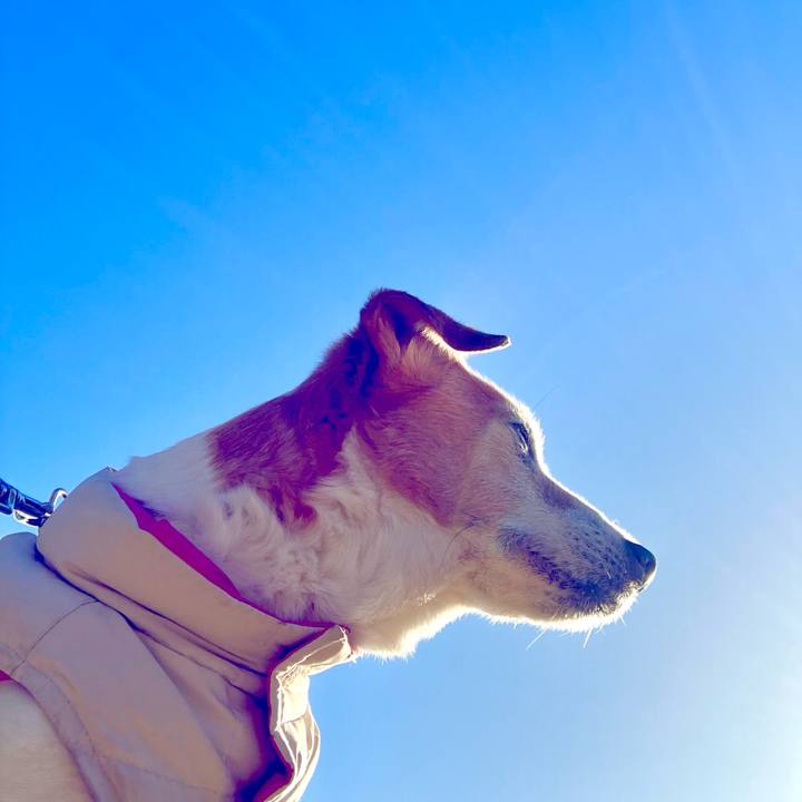 A7ff9bc3 ebda 4b87 aec5 6229e9327e87 1702168453443