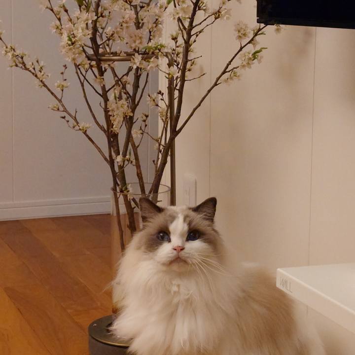 A7ffee14 bfeb 45a3 9efe 07175a403f33 1773637124802