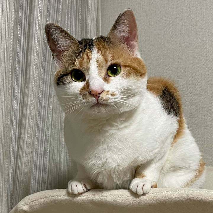 A8001071 4443 48ea be0c 47265e73386f 1617893533240