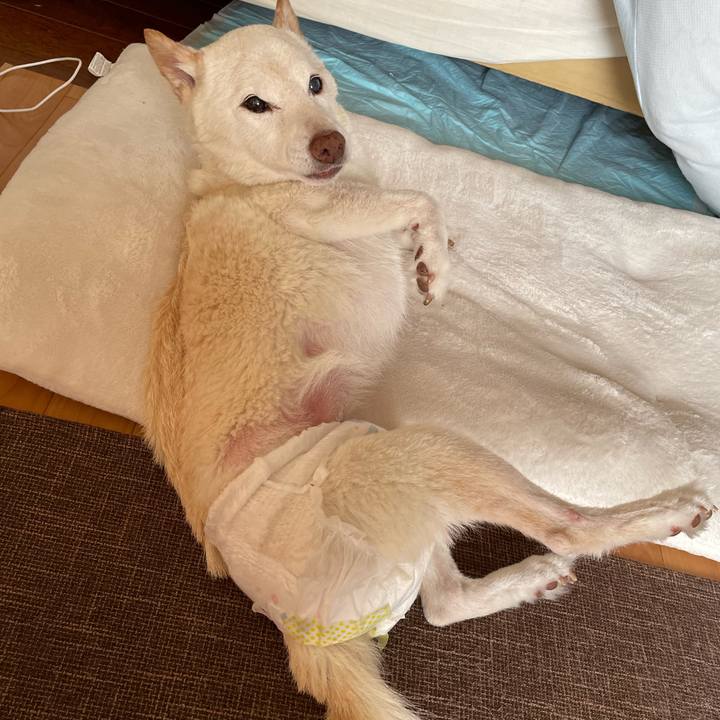 A8001a87 588f 4be3 89af 530f76931e6c 1668042442090