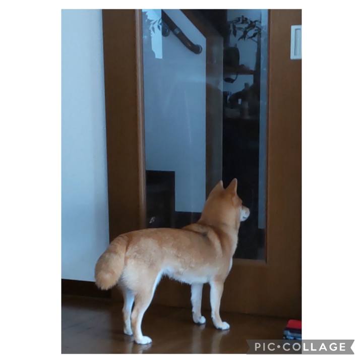 A80058e2 d2ff 4467 a22b 48eb5ca519d4 1674006511101