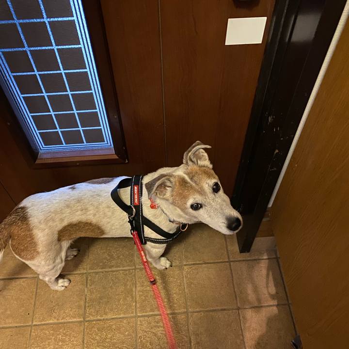 A800b0a6 8385 4b44 91f2 23d2d03be2d0 1612571576908