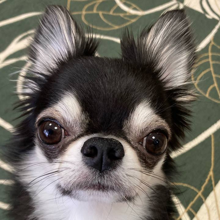 A800bcd2 4c37 4ae3 bcae 0af1ea034e74 1650064523007