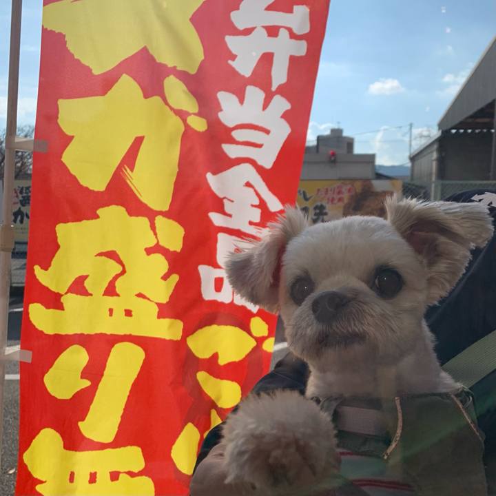 A800bd10 9fc4 4cb1 b7e6 e061840f094a 1669641971490