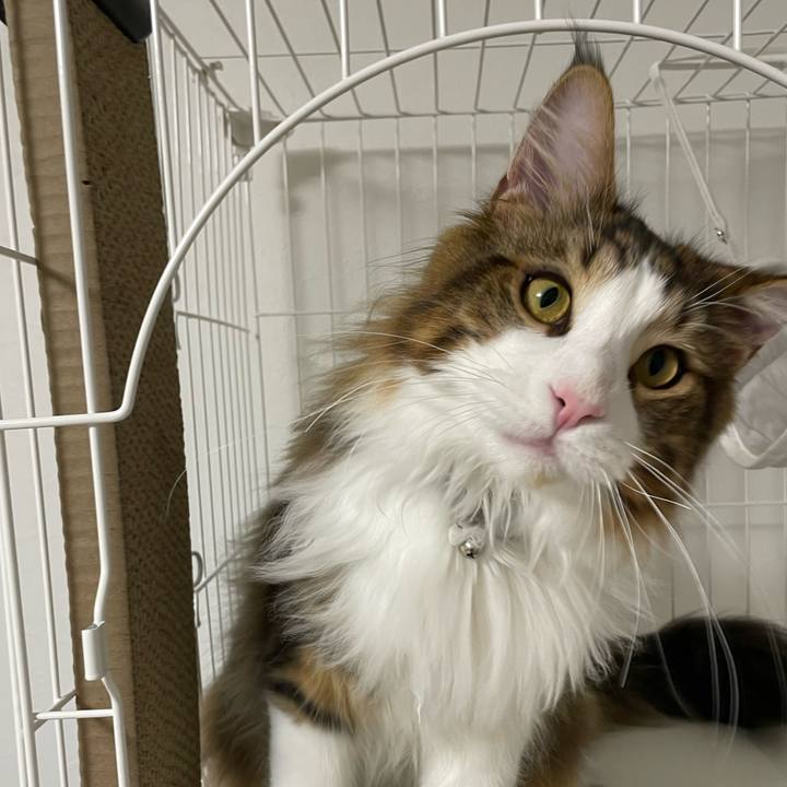 A8010ec7 98a5 4c1a 8fa3 674c3b7d9cdb 1647607983382