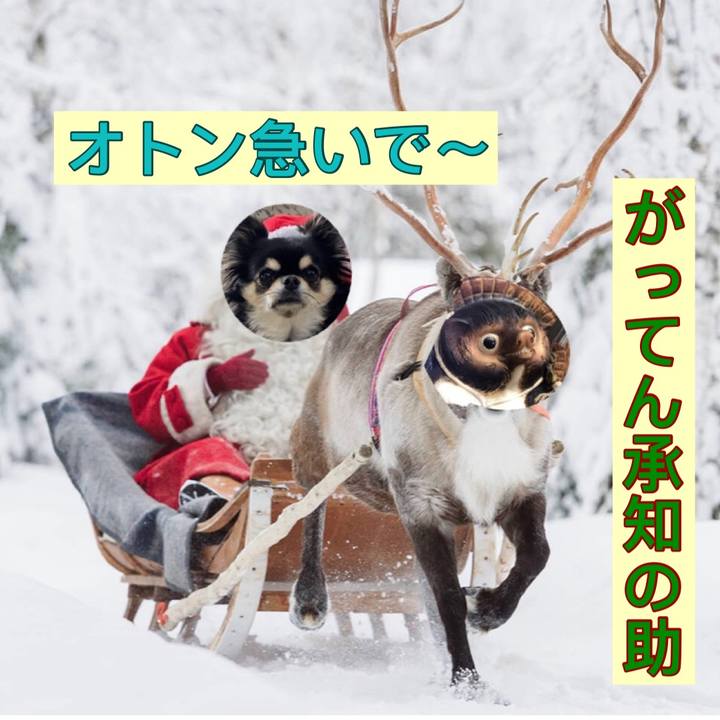 A8011cc8 904c 4abf 8382 d38fb144d36d 1608365857374