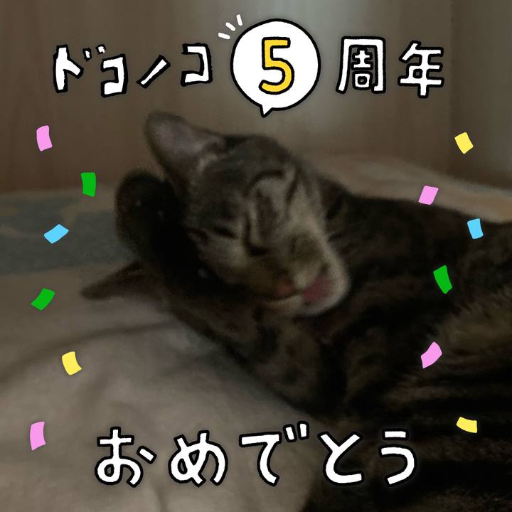 A8012f69 e37a 45be 8c7e b78e2d4ad823 1623130873506